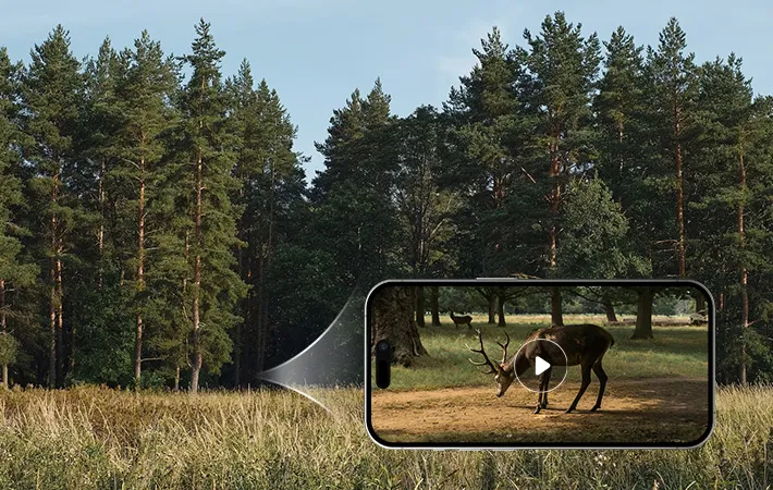 Beeld- en video-opname op versoek — op die oomblik vanaf afstand geaktiveer