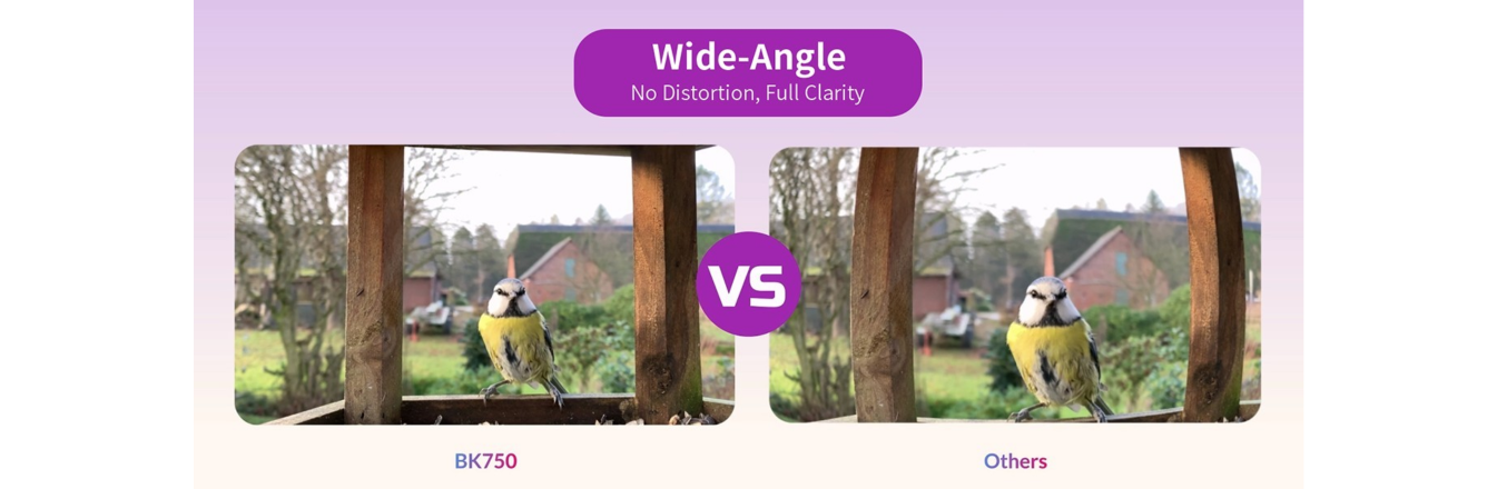 Why the Birdwatching Camera Market Has a Resolution Problem — and How the BK750 Solves It for OEM Brands.png
