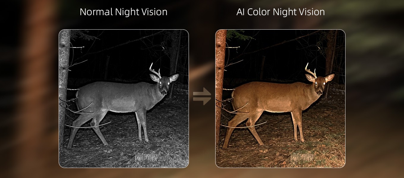 What AI Super-Resolution Actually Means for a Camera Product (5).jpg