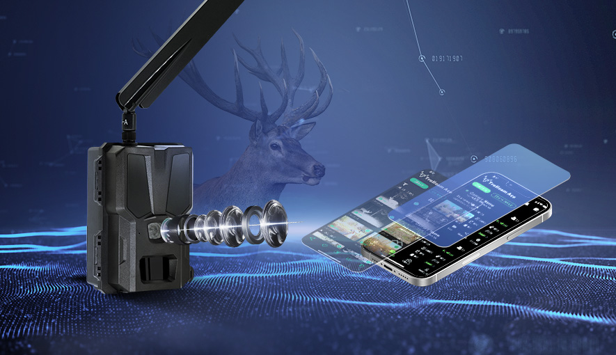 Product Customization
