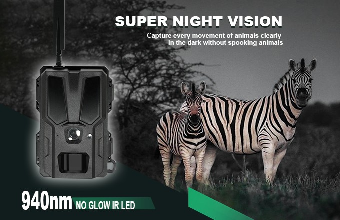 How to Build a Profitable 4G Cellular Trail Camera Brand (4).jpg