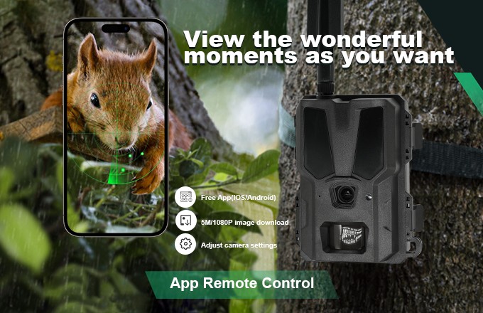 How to Build a Profitable 4G Cellular Trail Camera Brand (5).jpg