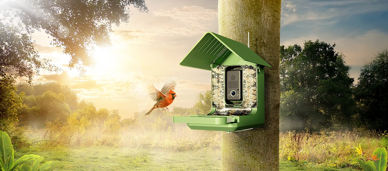 Why the Birdwatching Camera Market Has a Resolution Problem (2).jpg