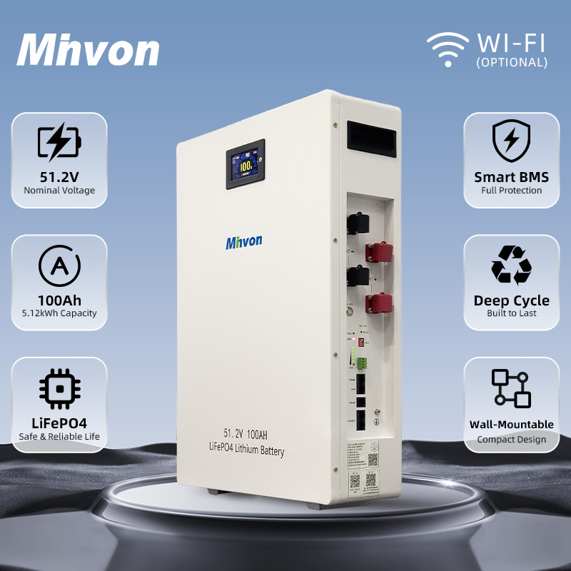 51.2V 100Ah 5kWh Wall-Mounted LiFePO4 Battery Pack, Built-in BMS, for Off-Grid/Grid-Tie Solar System