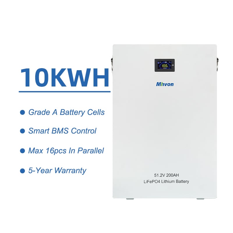 Home Energy Storage 10.24kWh 51.2V 200Ah Wall Mount Lithium Iron Phosphate Battery With BMS
