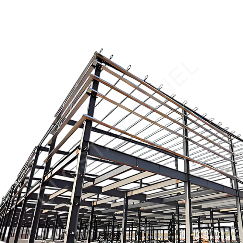 Steel Structure building 
