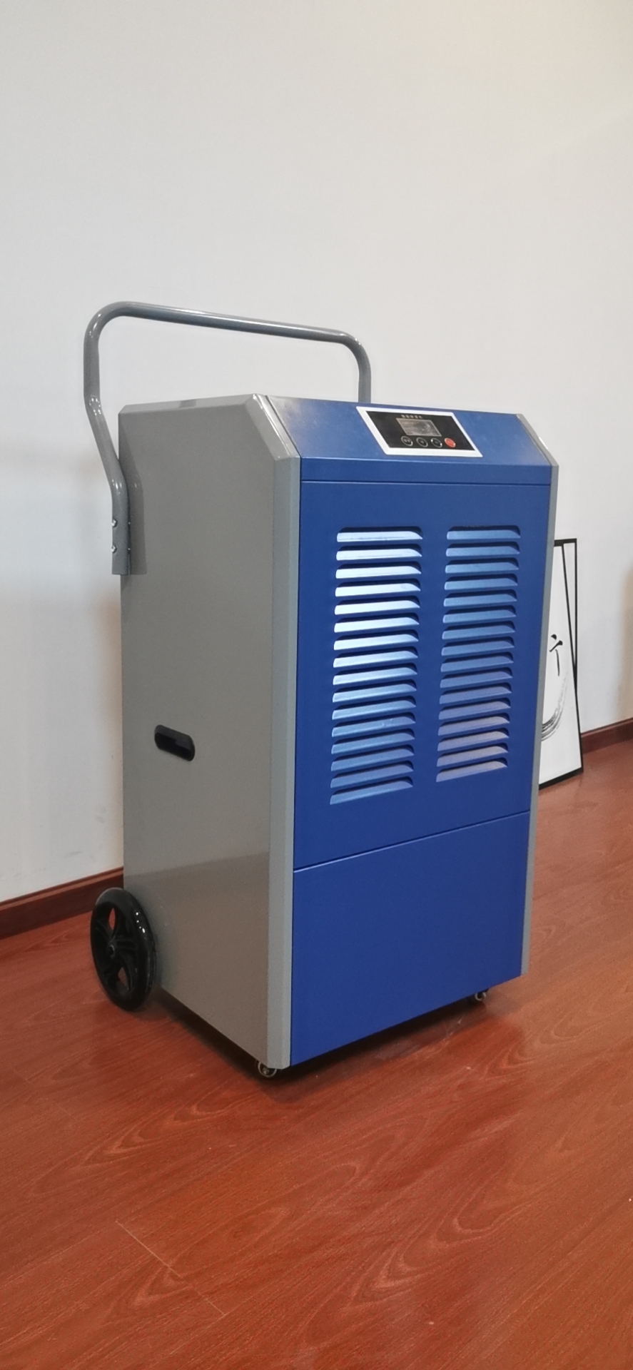 Where to Find the Best Wholesale Deals on Commercial Dehumidifiers