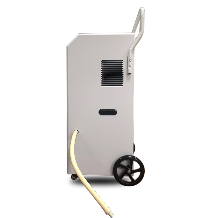 What Makes Desiccant Dehumidifiers Ideal for Damp Basements and Crawl Spaces?