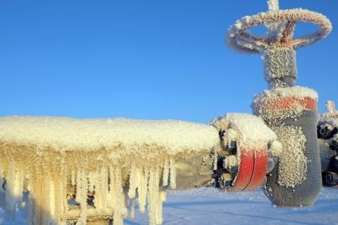 Cryogenic Seals (3).jpg