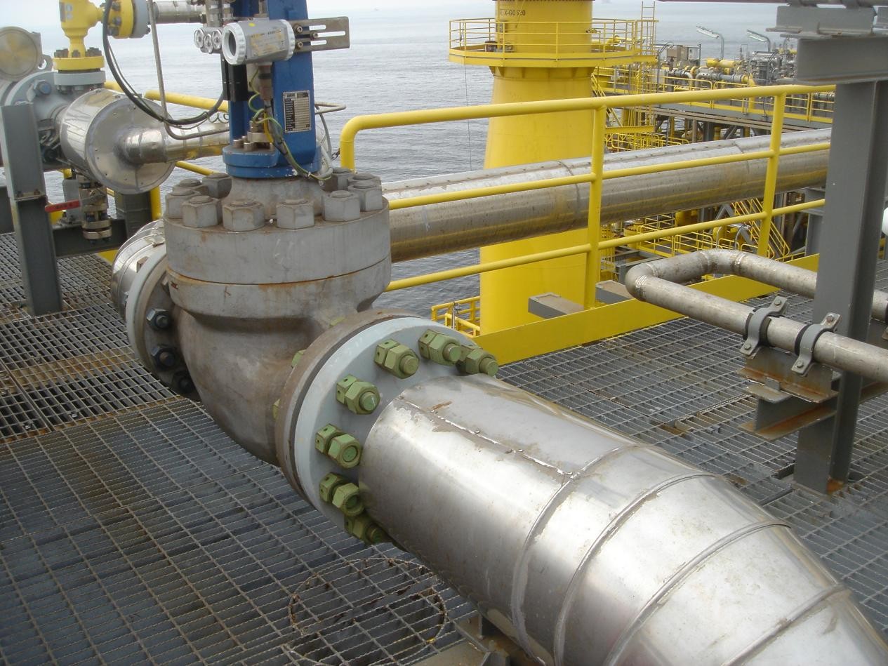 Chemical Resistant Seals (4).jpg