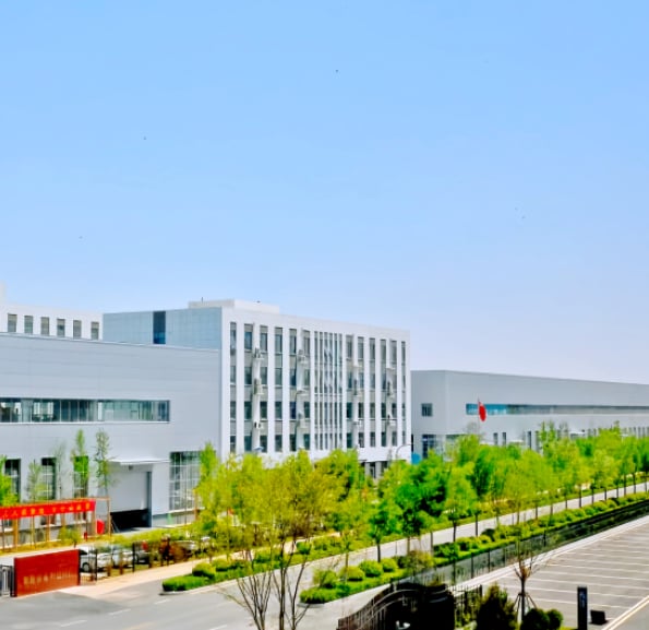 About Company