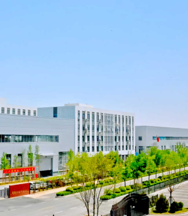 About Company