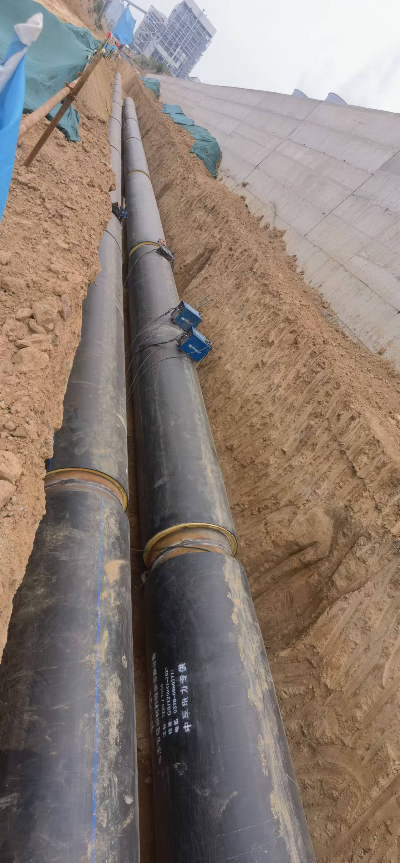 Where to Find the Most Reliable Wholesale Suppliers of Heating Pipes