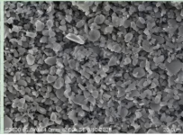 image(1041c06087).png