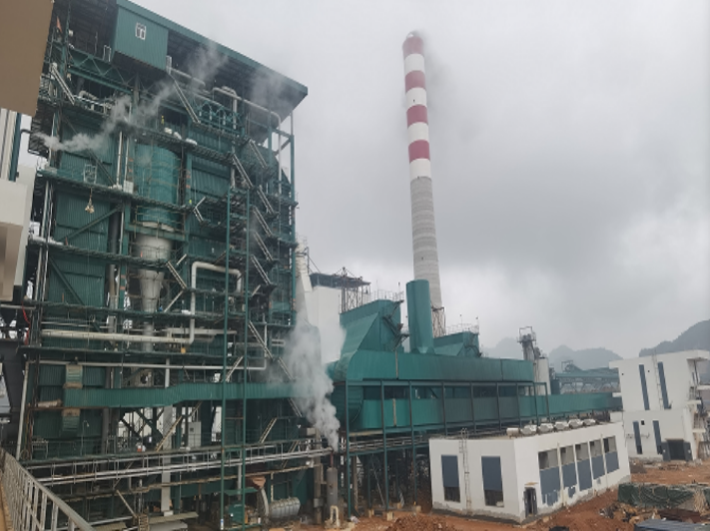 Low-Carbon Co-Firing Solution (Flexible Biomass Blending 10–100%) supplier