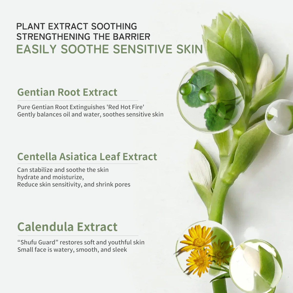 AM032 Soothing and Repairing Dual-Anti Emulsion (5).png