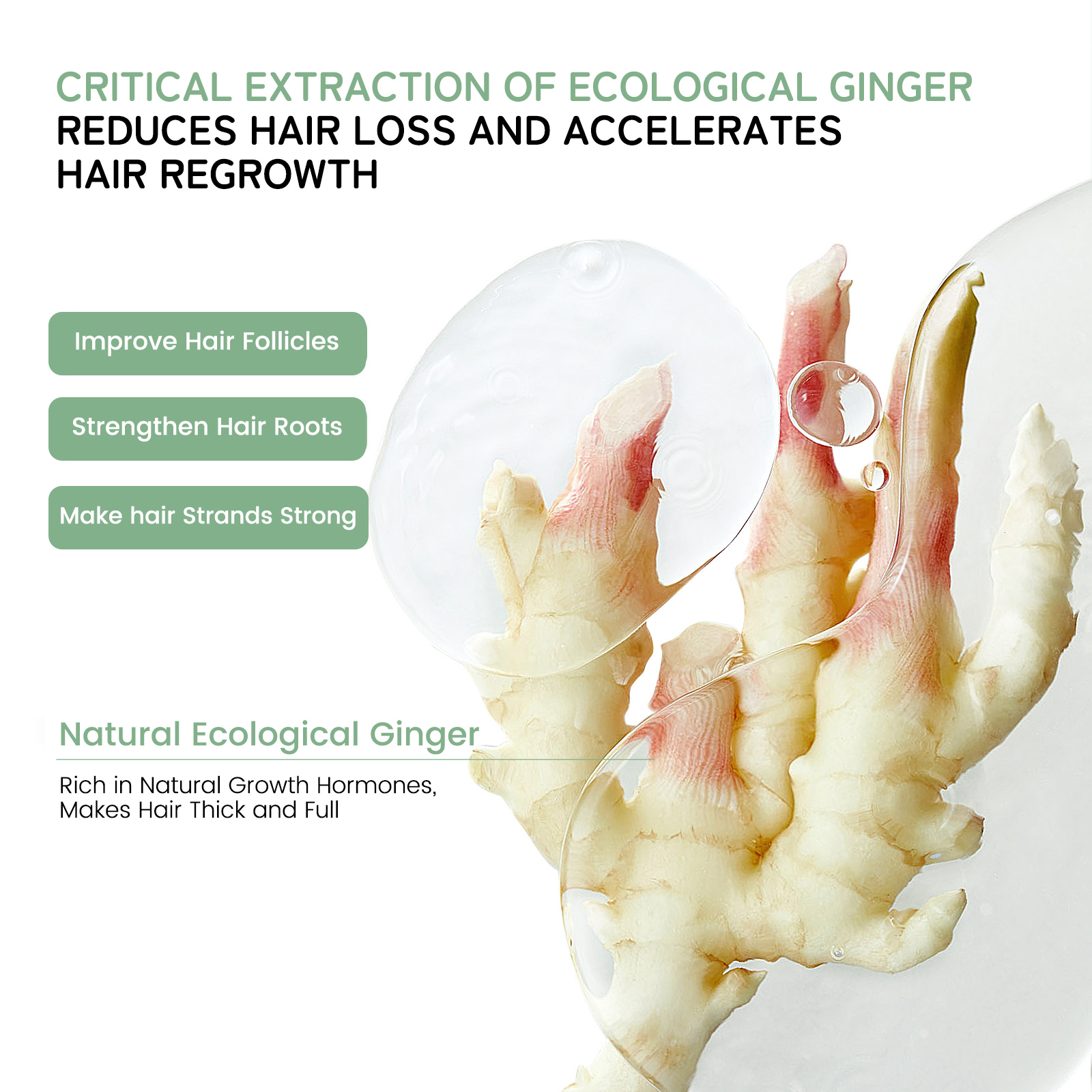 AM1023 Siying Plant Based Anti-Hair Loss Shampoo with Ginger Root Extract