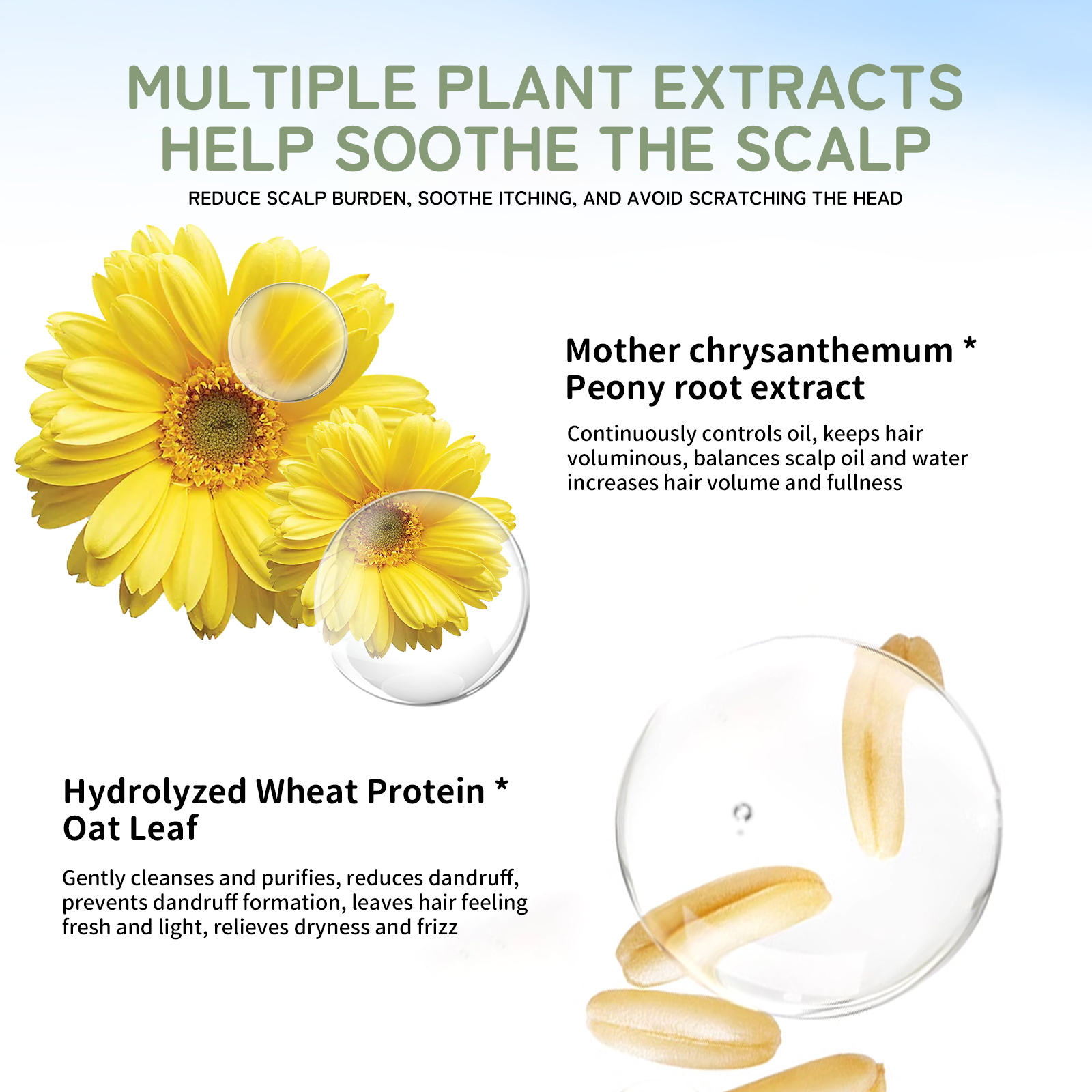 Tailored Solutions for Every Hair Type