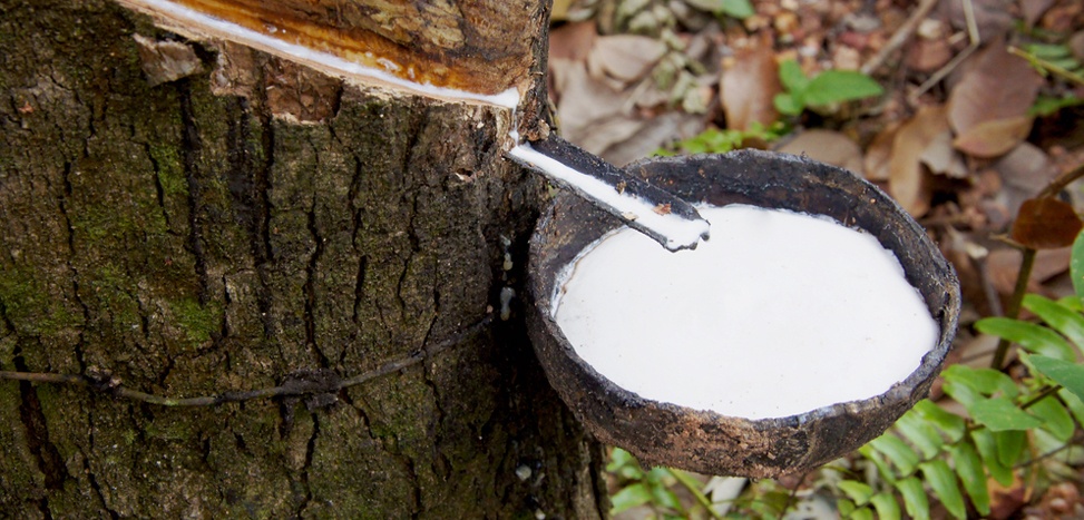 Natural Latex