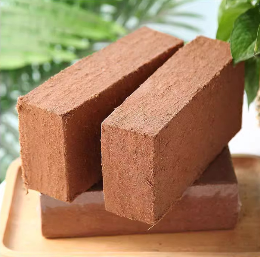 Coconut Bricks
