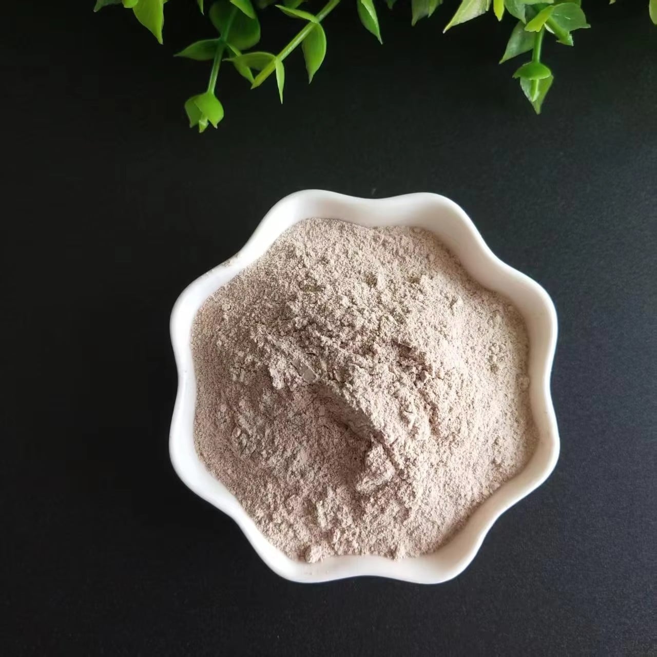 Zeolite