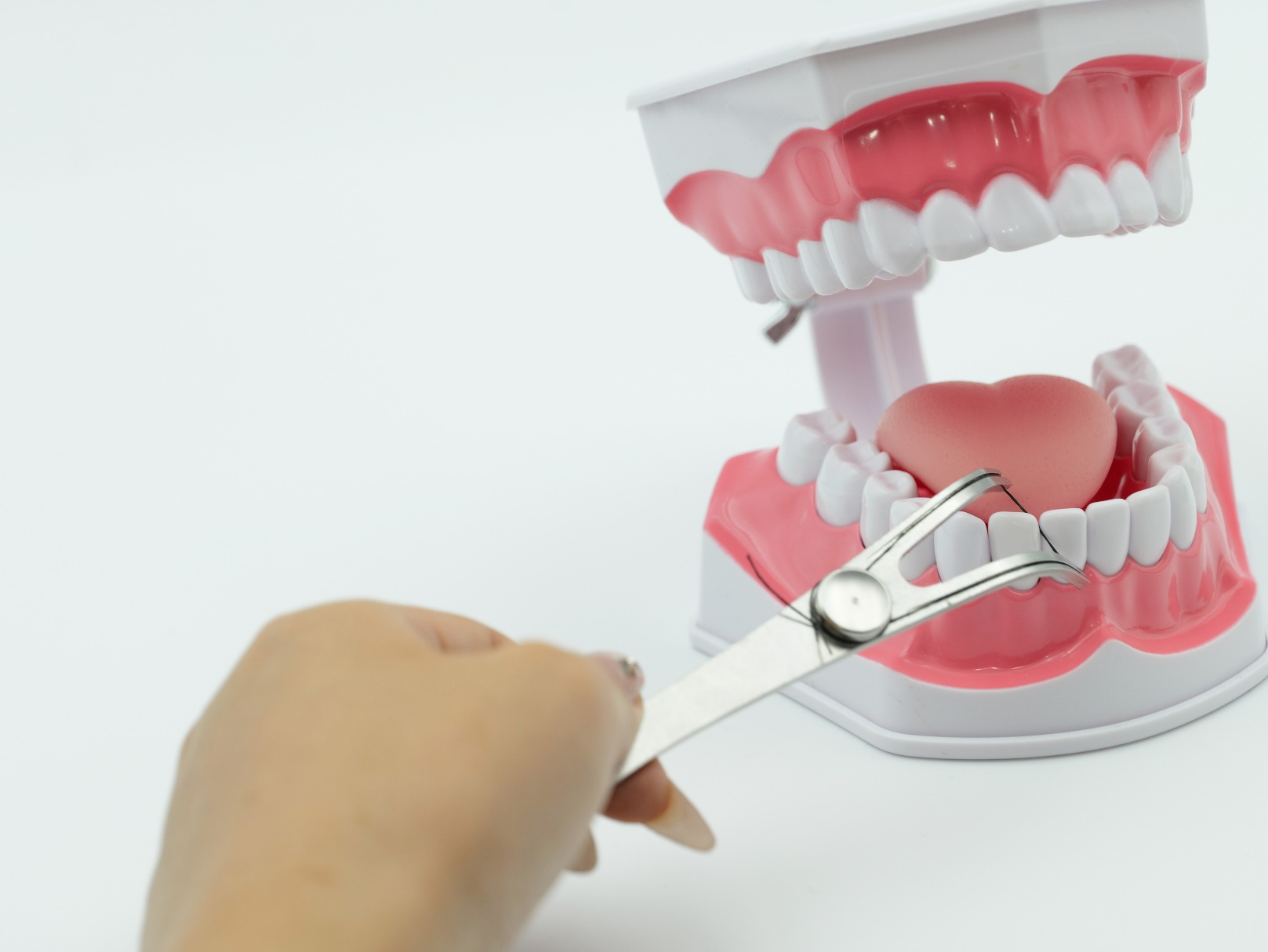 Yantai Yulong Commodity Co.,Ltd. Empowers Global Oral Care Industry with Premium & Eco-friendly Dental Floss Solutions (1).png
