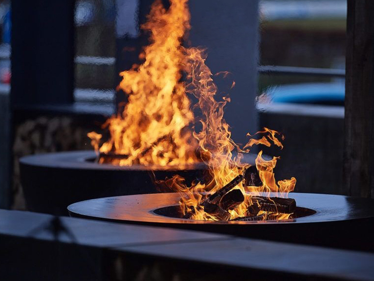 Combustion System