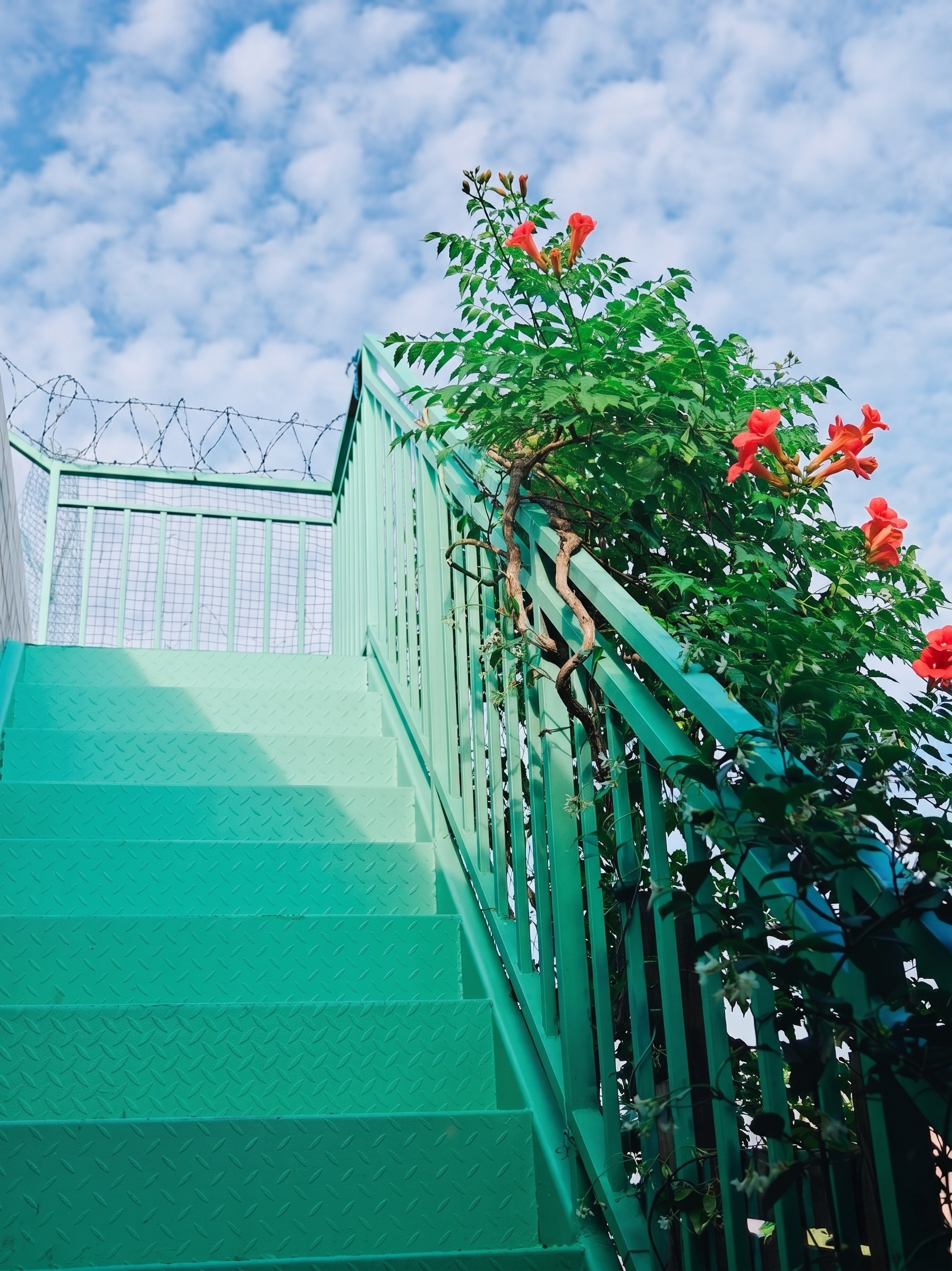 Water Resistant Paint for Walls: Key to Prolonged Durability
