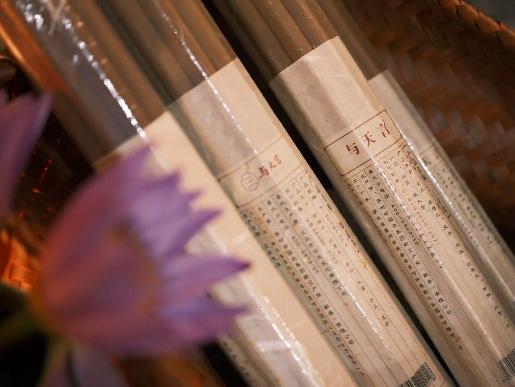 Ruyi Moxa Stick
