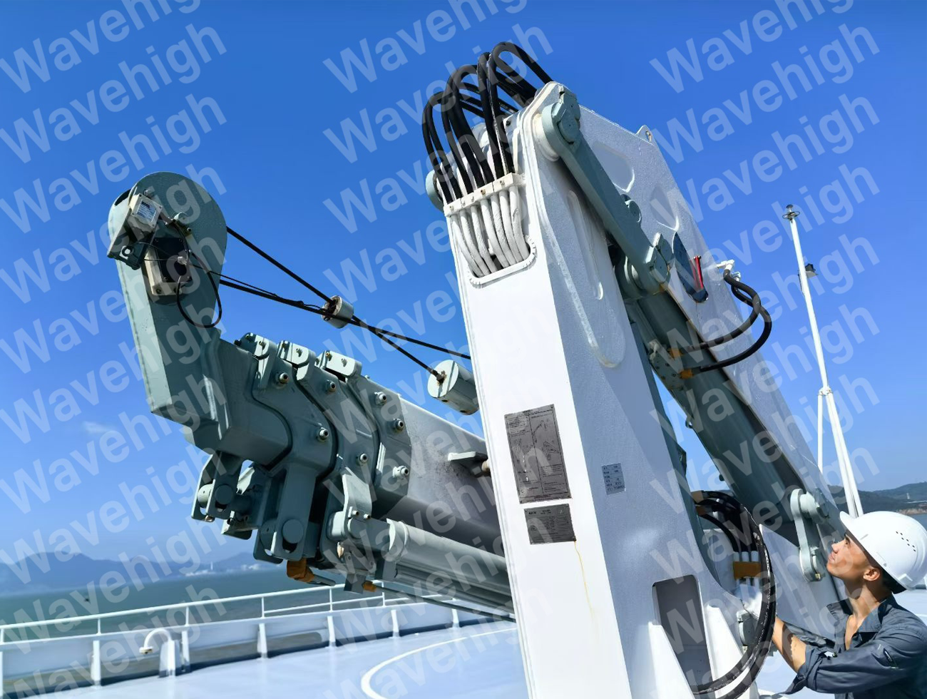Telescopic Boom Crane