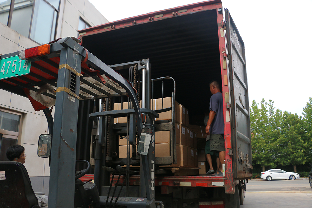 Ships Two Containers Plus LCL Consignment (2).png