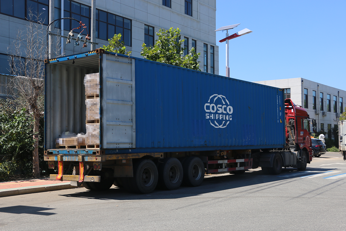 Ships Two Containers Plus LCL Consignment (5).png