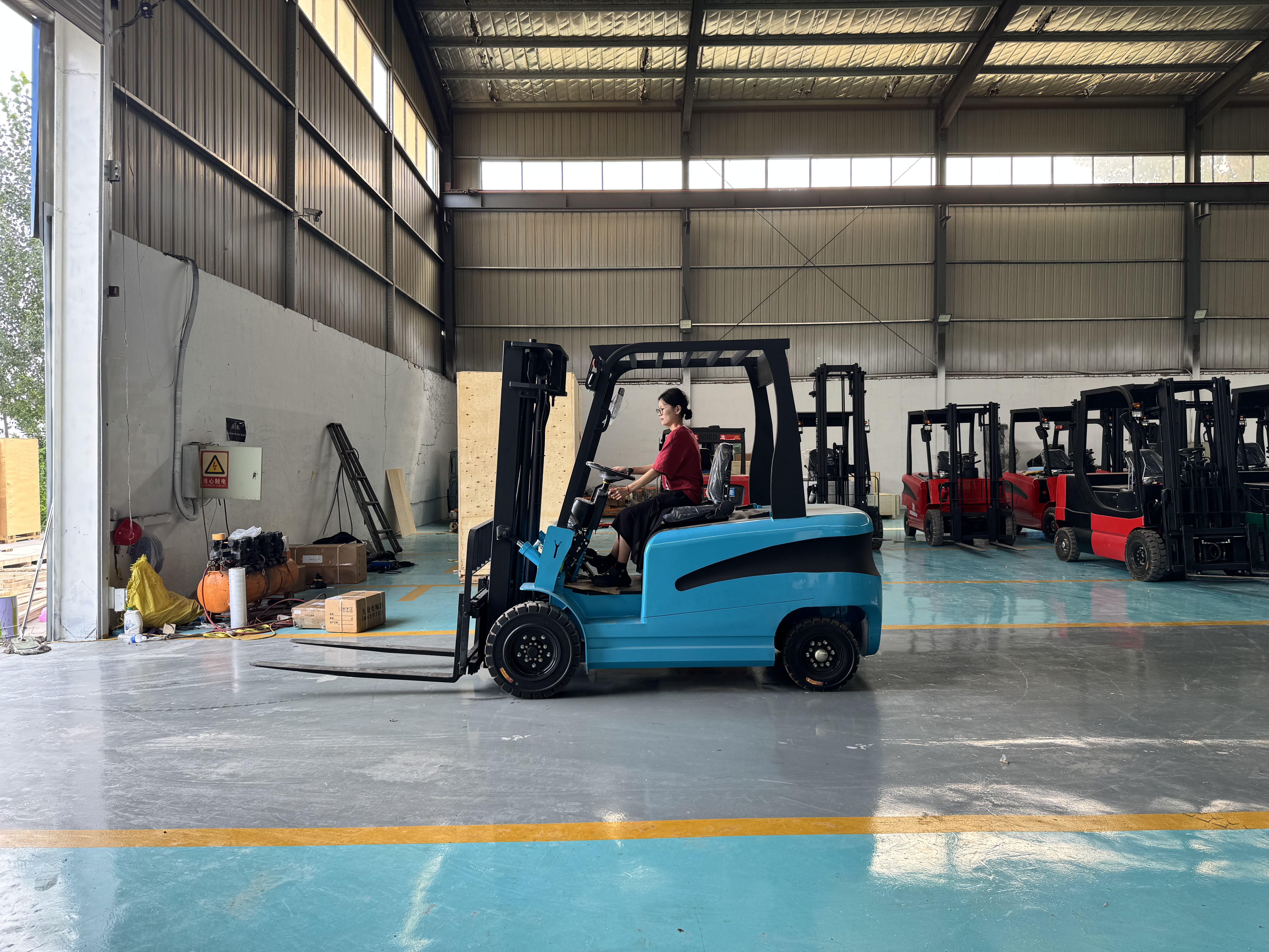 Intelligent Control Systems