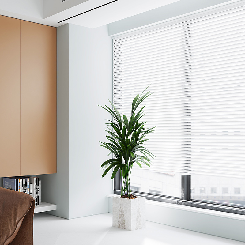 Understanding Cost Factors When Purchasing Commercial Blinds in Bulk