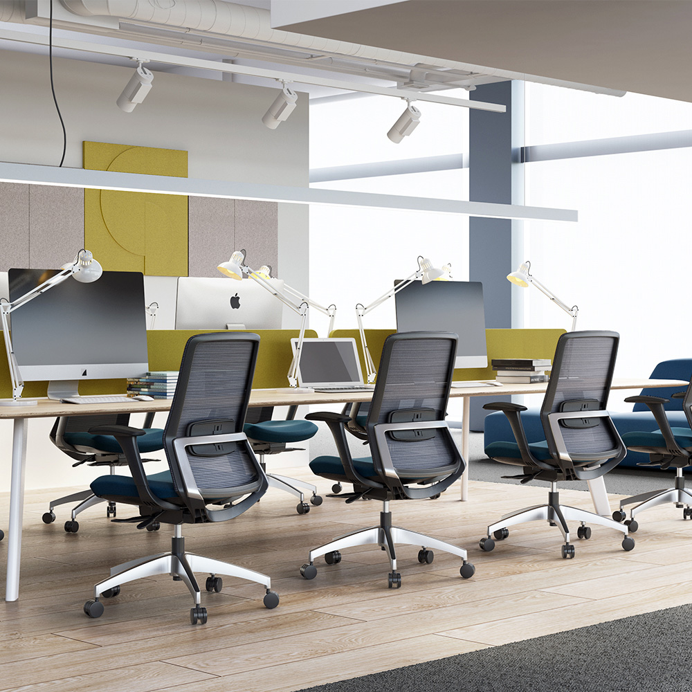 Professional Aesthetics and Workplace Culture
