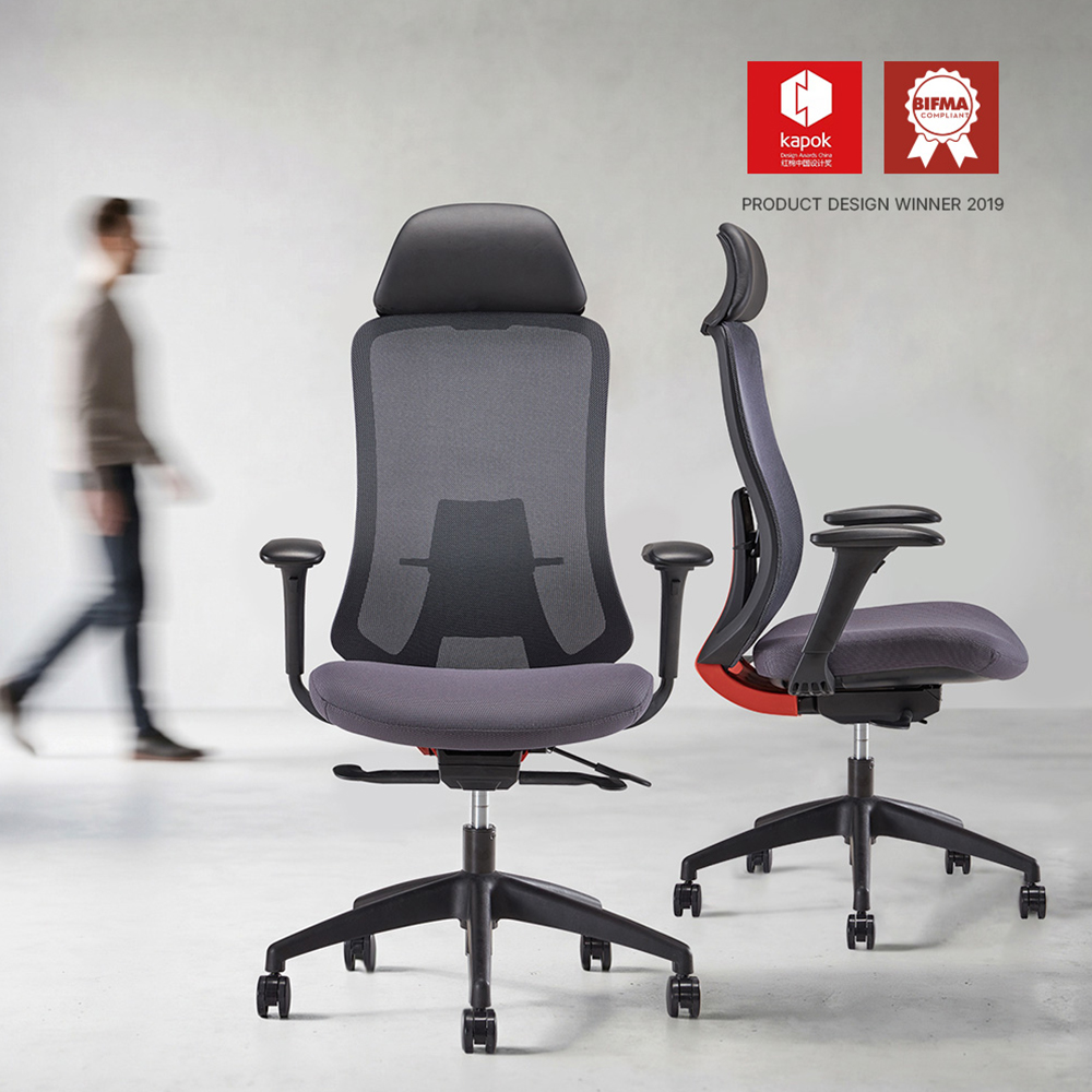 Comprehensive Lumbar Support System