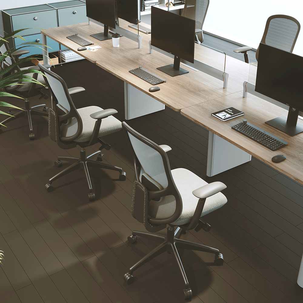 Advanced Lumbar Support System