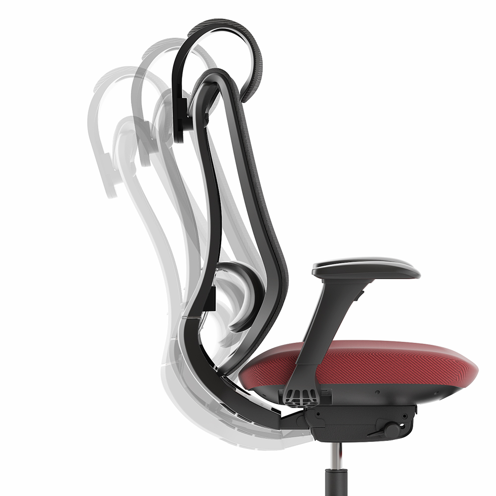 Multi-Directional Adjustability for Personalized Support