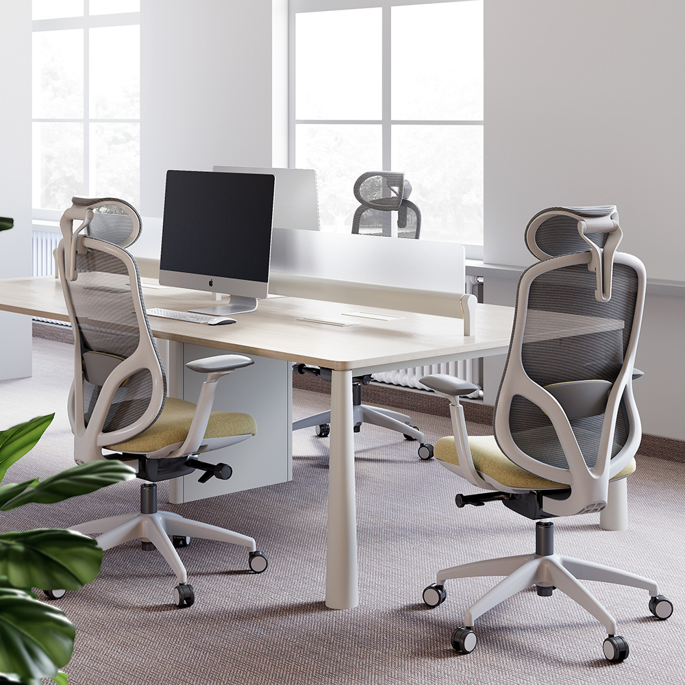 Adjustable Lumbar Support System
