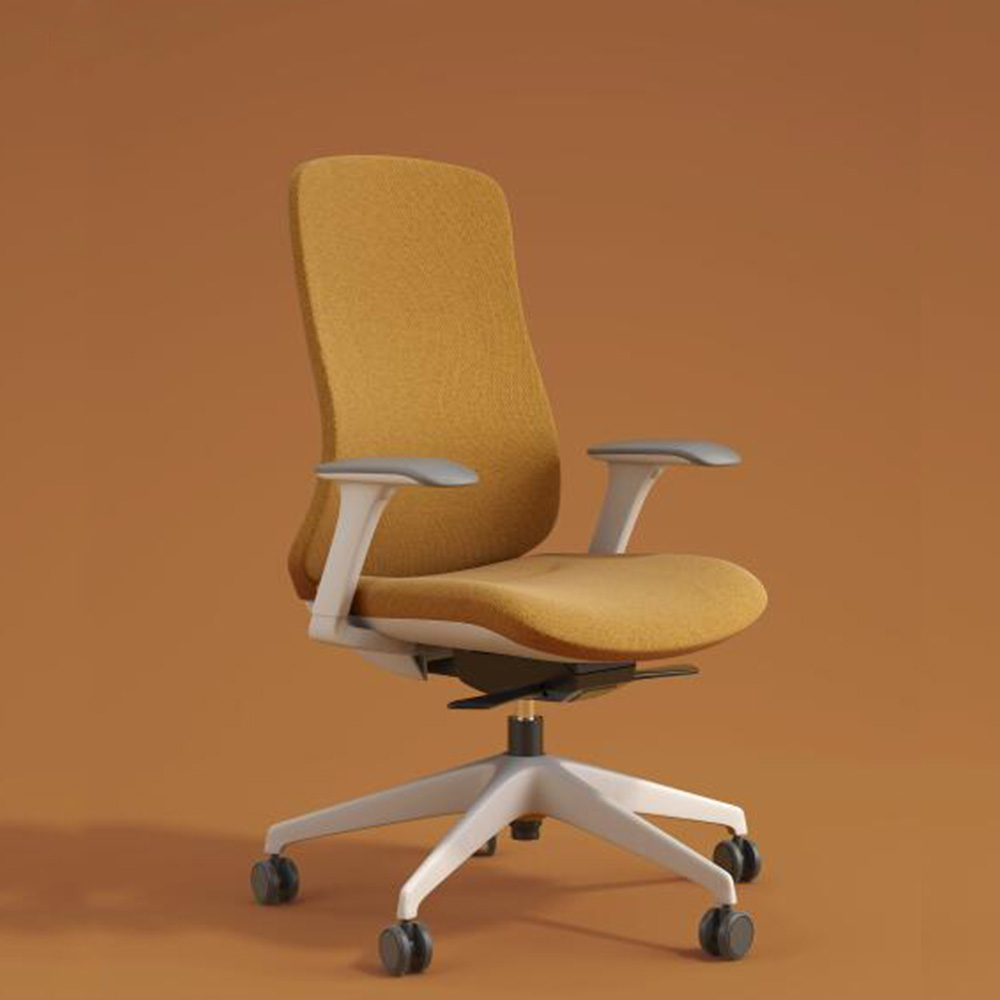 Professional Aesthetic Appeal and Workplace Integration