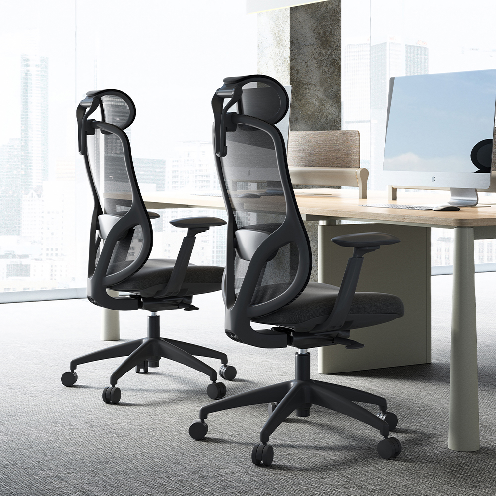 Advanced Lumbar Support System