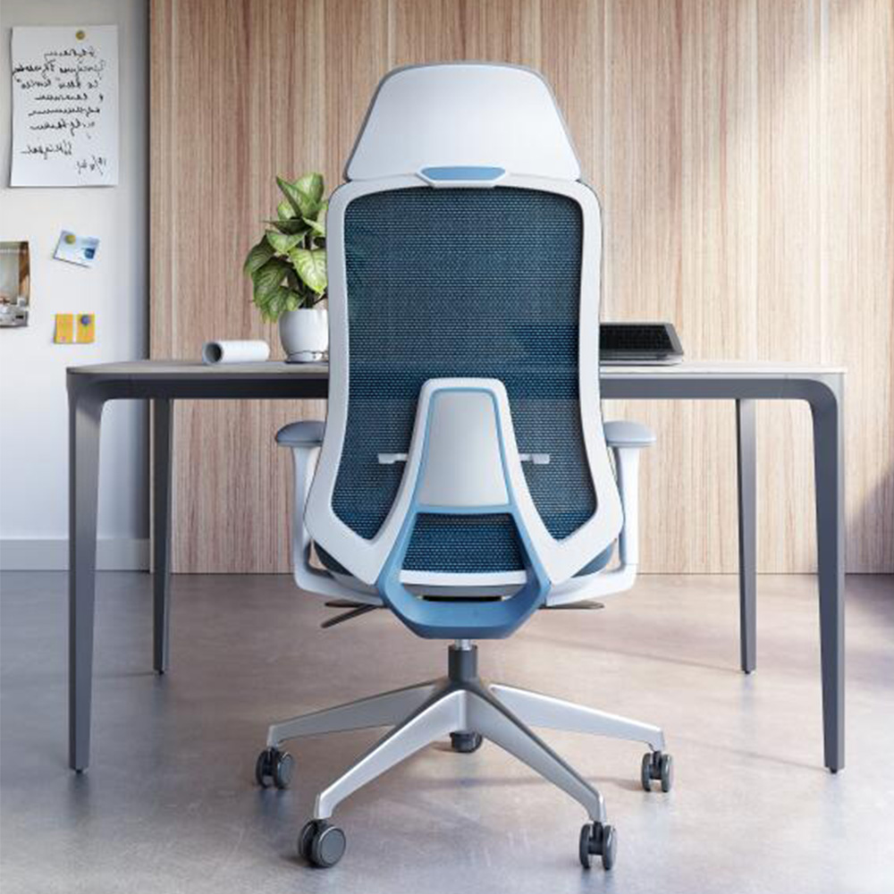 Advanced Lumbar Support System