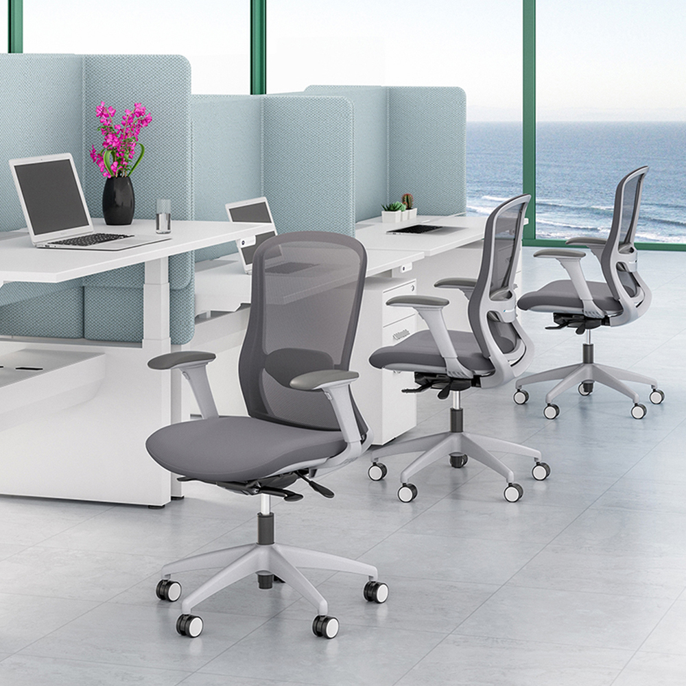 Advanced Lumbar Support System