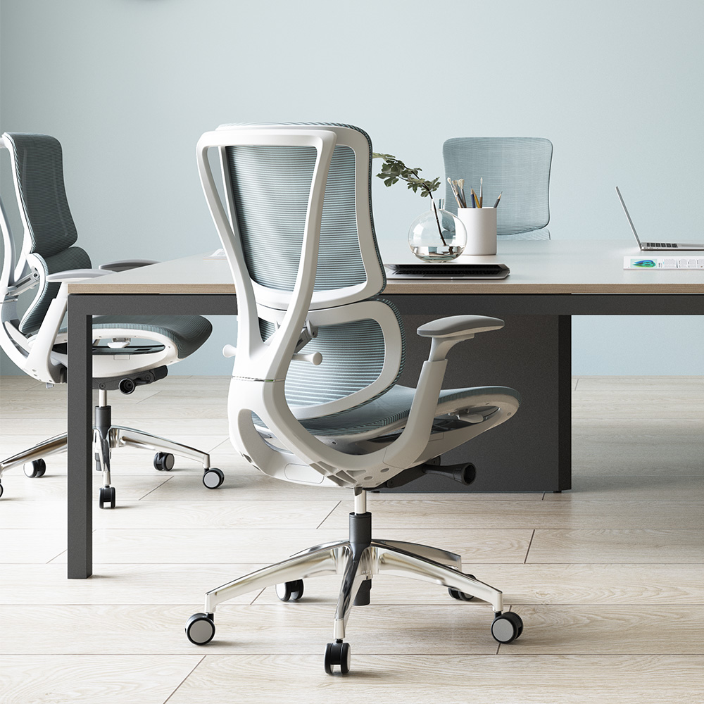 Ergonomic Support for Spinal Health
