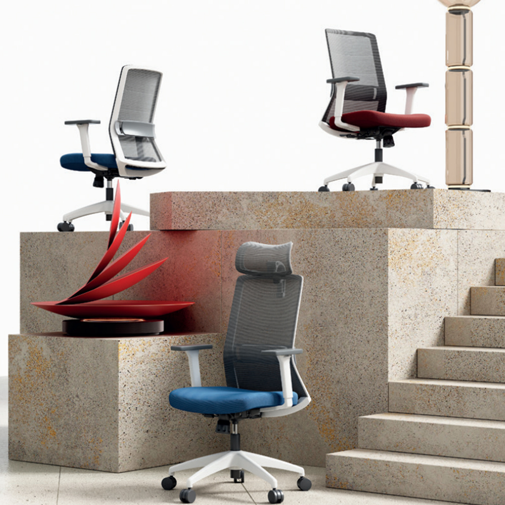 Ergonomic Support and Health Benefits