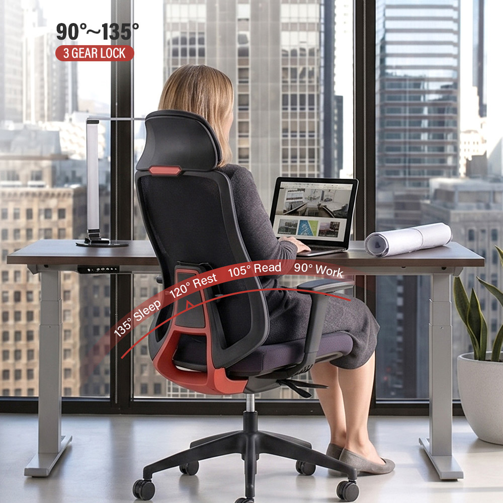 Customizable Adjustment and Versatile Functionality