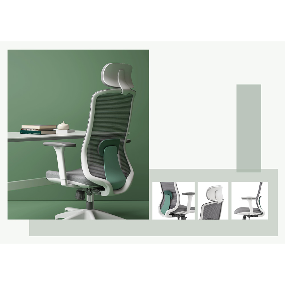 Advanced Ergonomic Support System