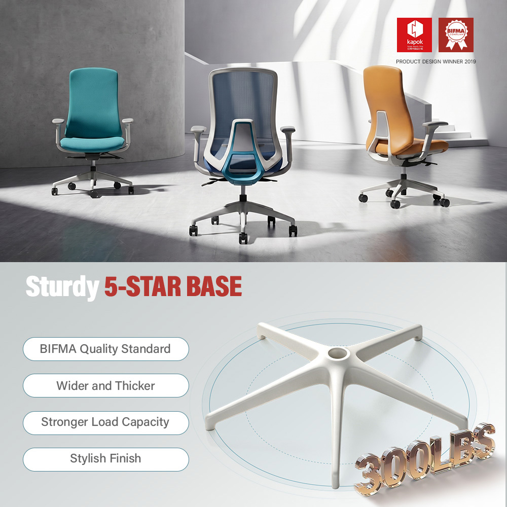 Comprehensive Ergonomic Support System