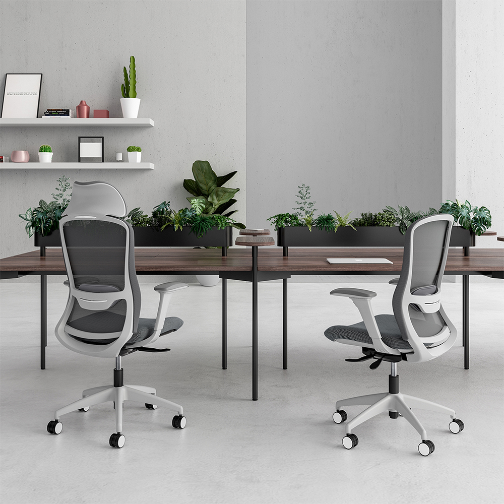 Advanced Lumbar Support System