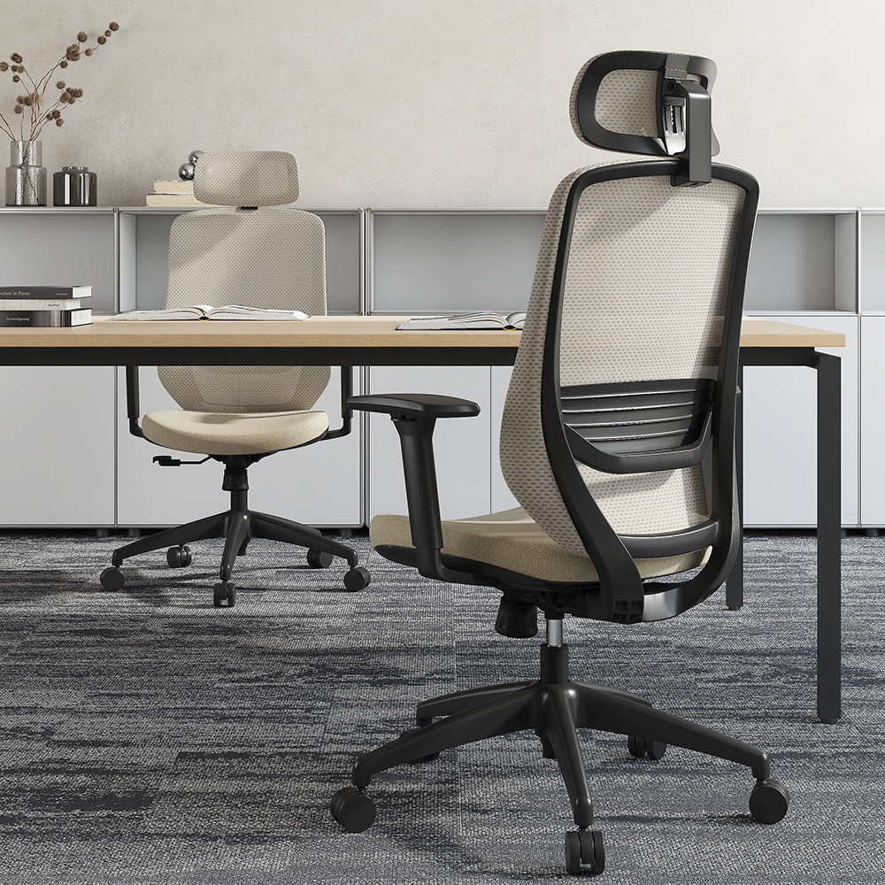 Advanced Lumbar Support System